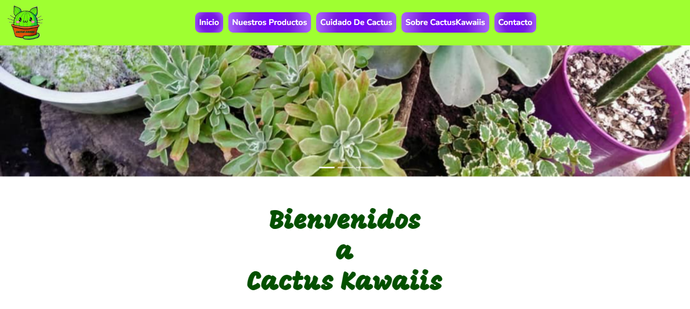 imagen pagina